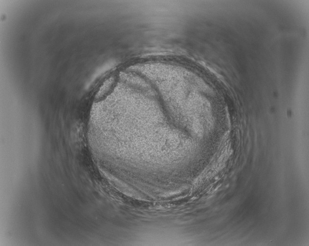 X0000078861351200611271401