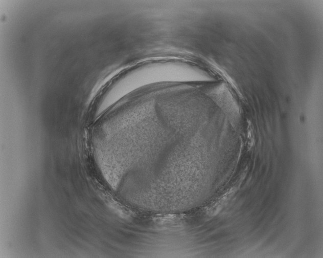 X0000078861352200611271401