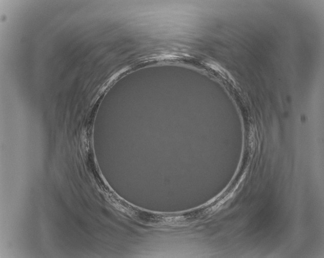 X0000078861353200611271401