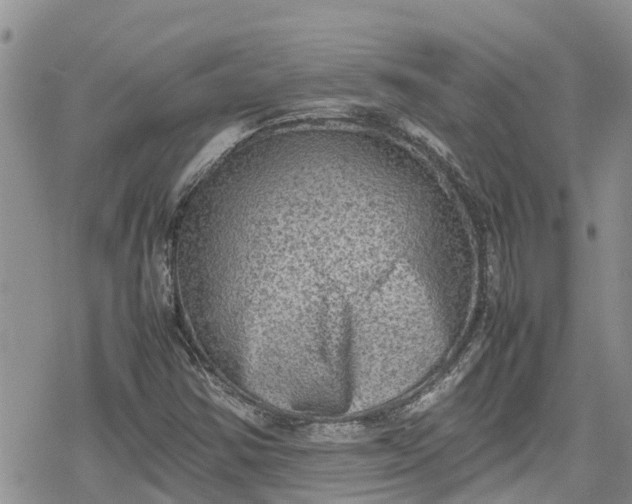 X0000078861354200611271401