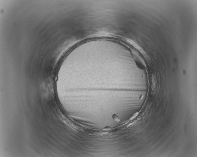 X0000078861356200611271401