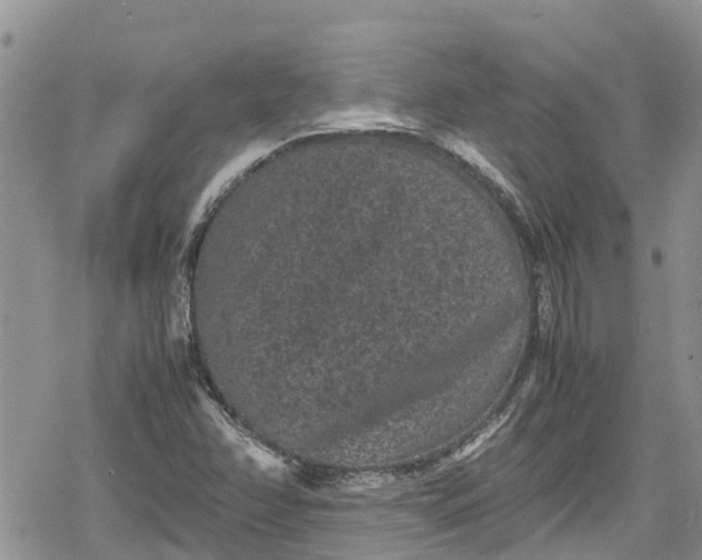 X0000078861358200611271401