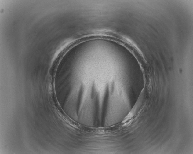 X0000078861360200611271401