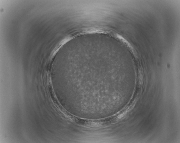 X0000078861361200611271401