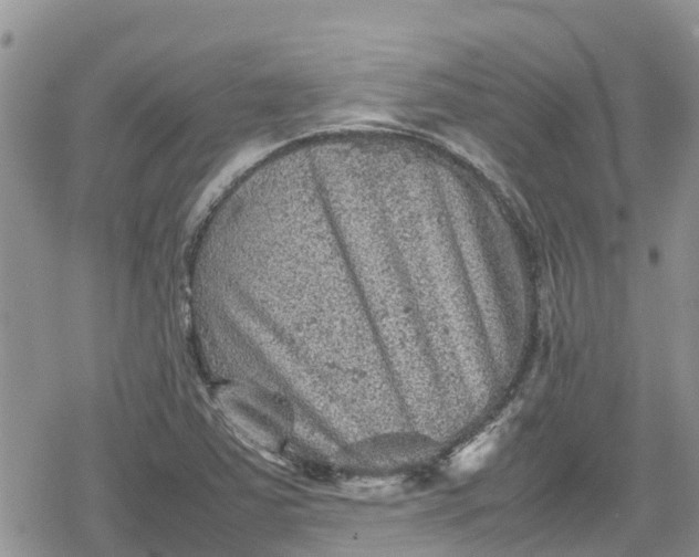 X0000078861363200611271401