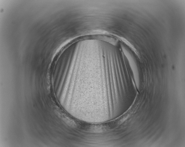 X0000078861364200611271401