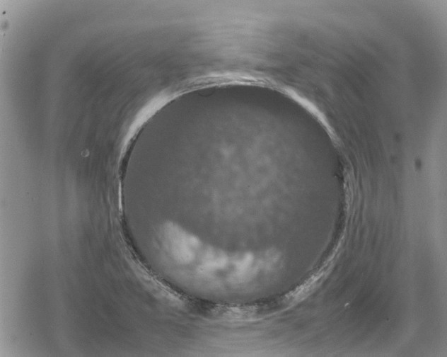 X0000078861365200611271401