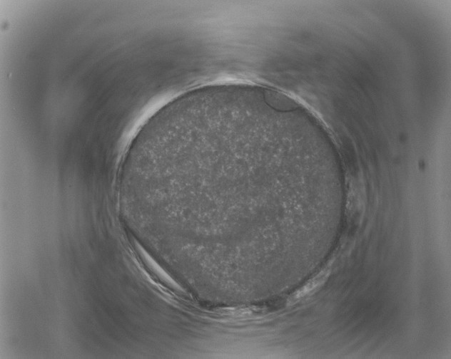 X0000078861367200611271401