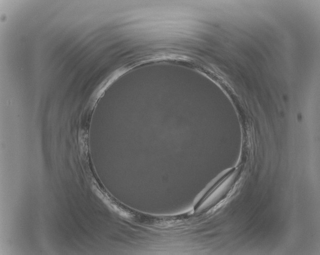 X0000078861369200611271401