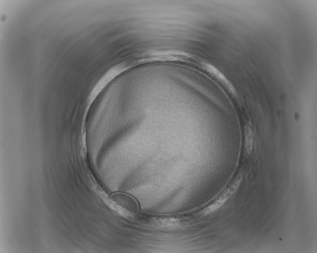 X0000078861370200611271401