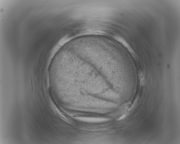 X0000078861371200611271401