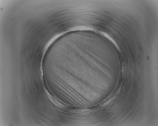 X0000078861372200611271401