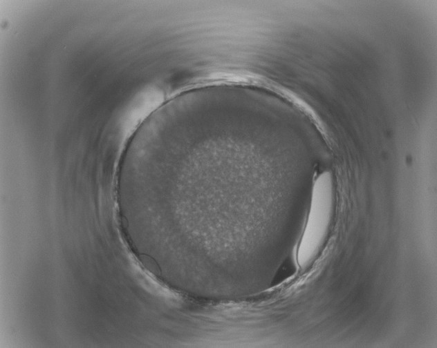 X0000078861373200611271401