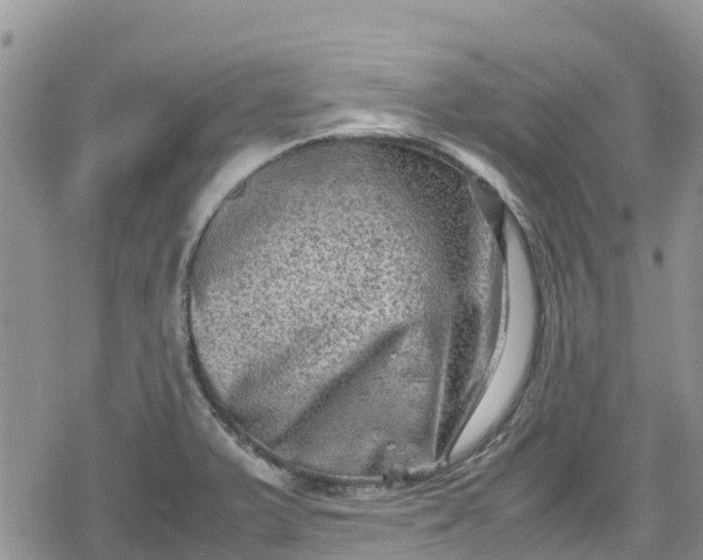 X0000078861375200611271401