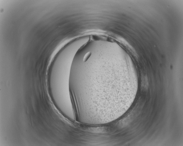 X0000078861376200611271401