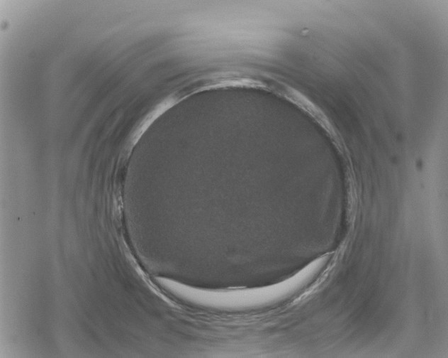 X0000078861377200611271401