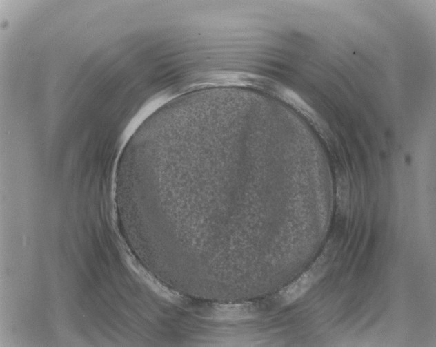 X0000078861378200611271401