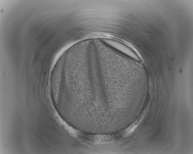 X0000078861379200611271401