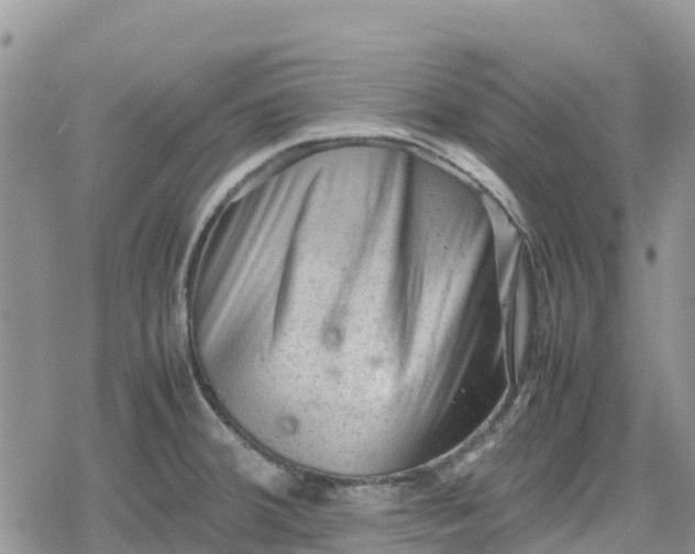 X0000078861380200611271401