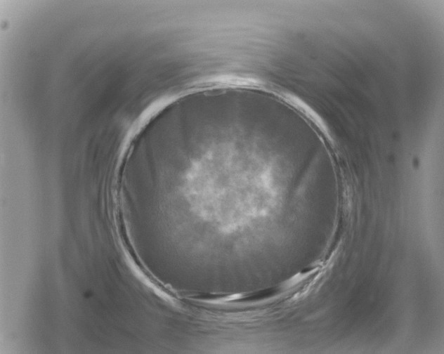 X0000078861381200611271401