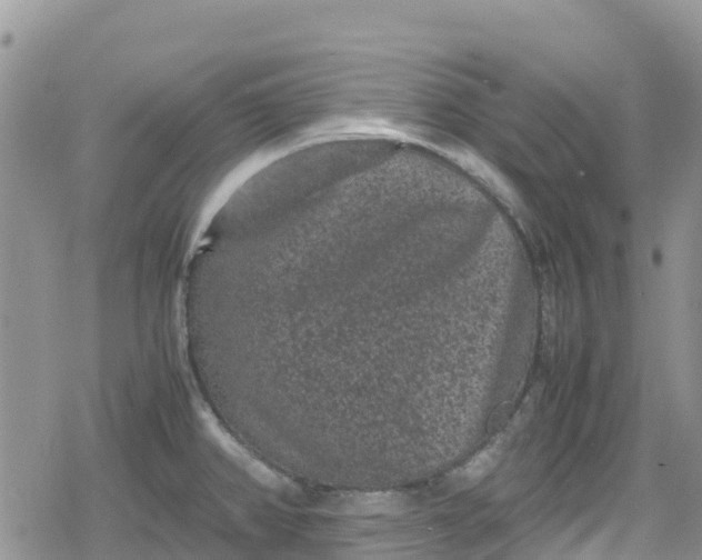 X0000078861382200611271401