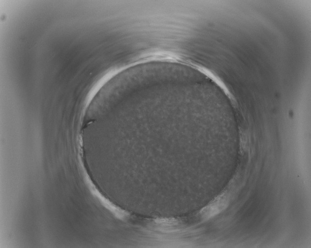 X0000078861383200611271401