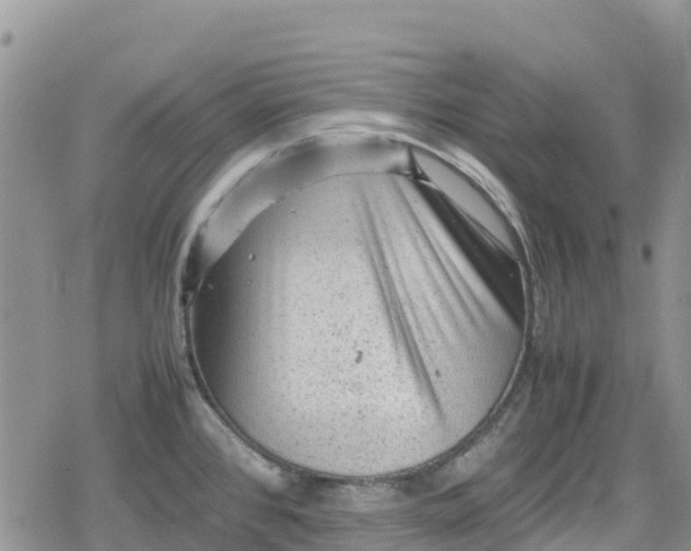 X0000078861384200611271401