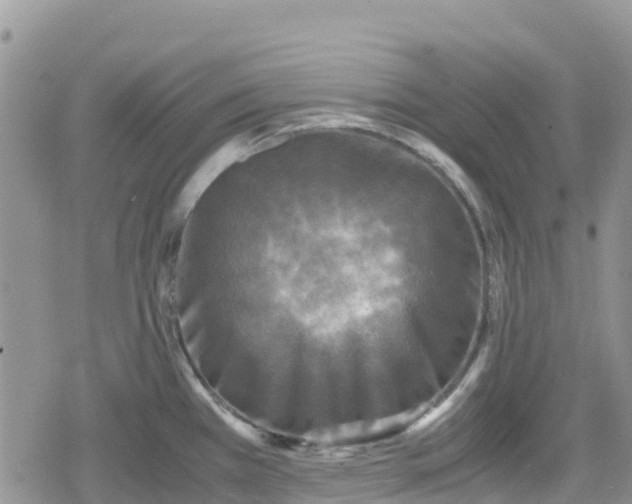 X0000078861385200611271401