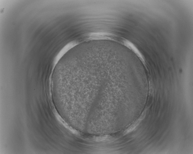 X0000078861386200611271401