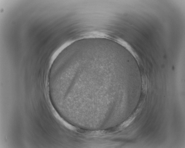 X0000078861387200611271401