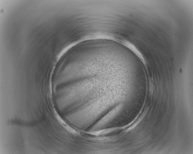 X0000078861388200611271401