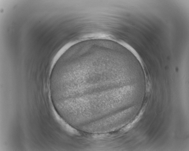 X0000078861389200611271401