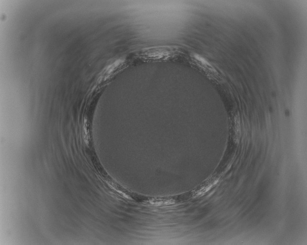 X0000078861394200611271400