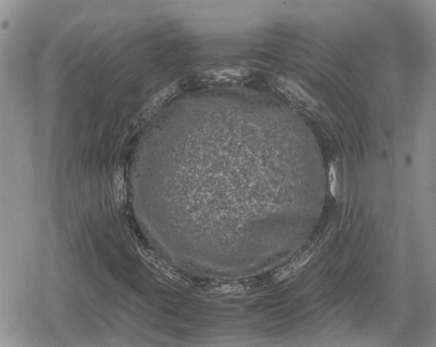 X0000078861395200611271400