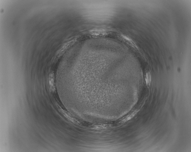 X0000078861396200611271400