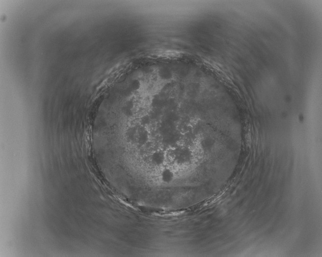 X0000078861397200611271400