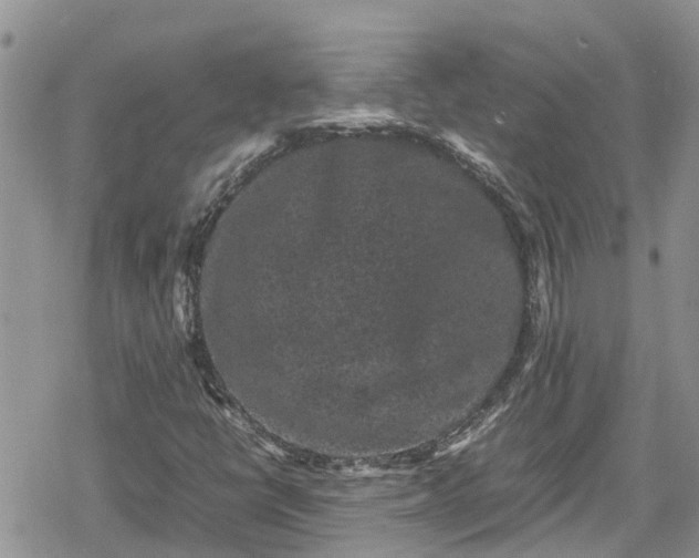 X0000078861398200611271400