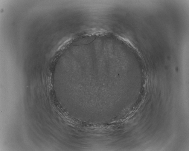 X0000078861399200611271400