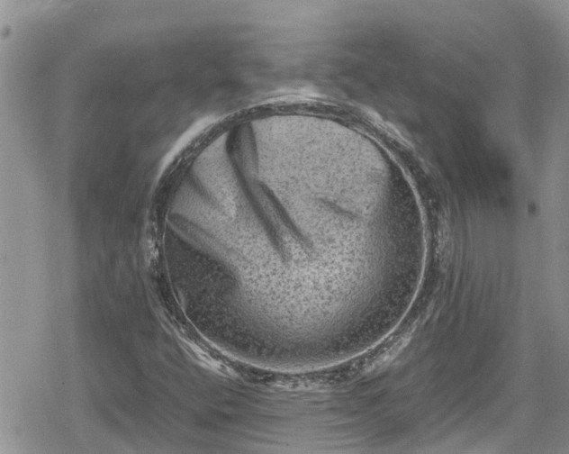 X0000078861400200611271400