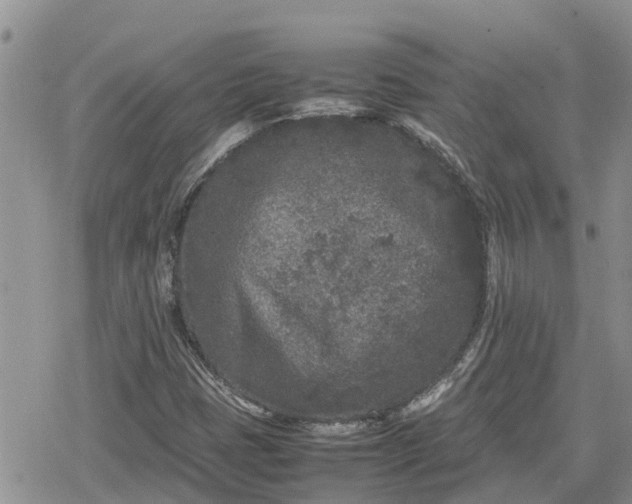 X0000078861401200611271400