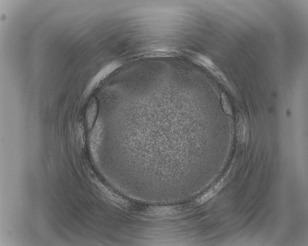 X0000078861402200611271400