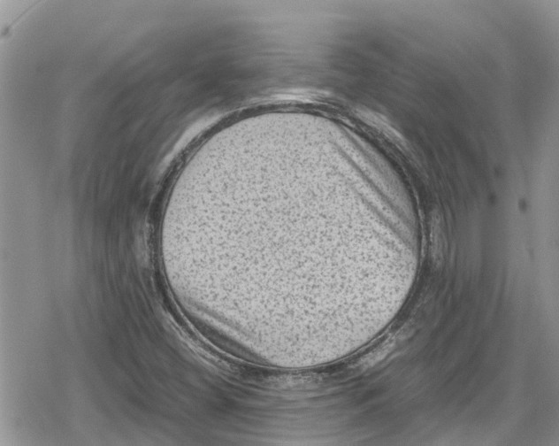 X0000078861404200611271400