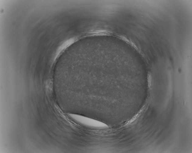 X0000078861405200611271400