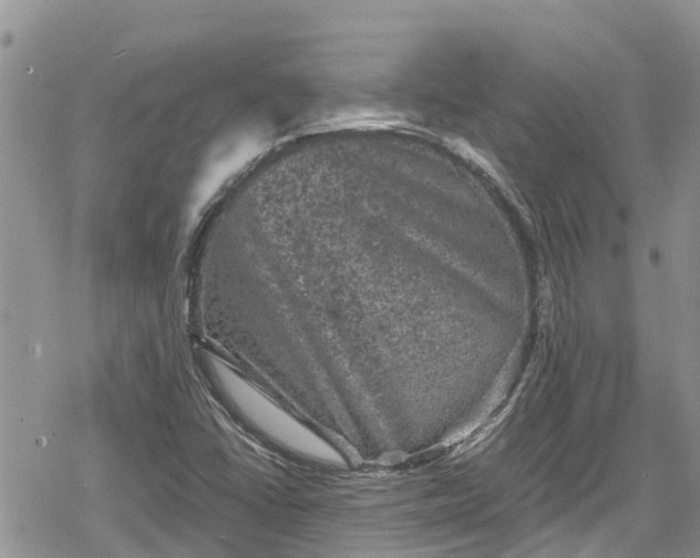 X0000078861406200611271400