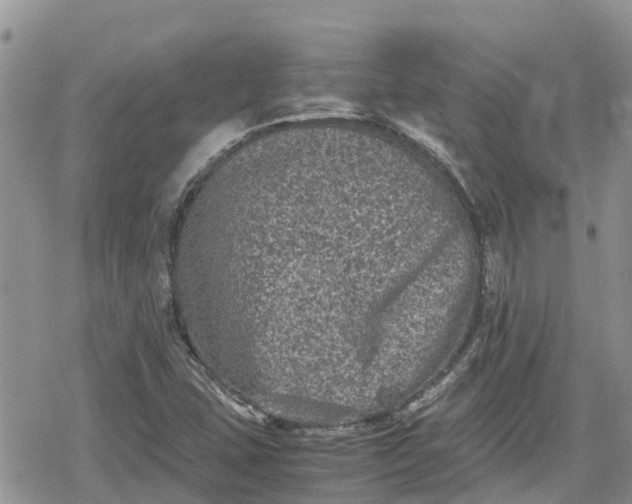 X0000078861407200611271400