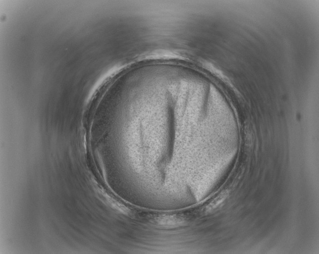 X0000078861408200611271400