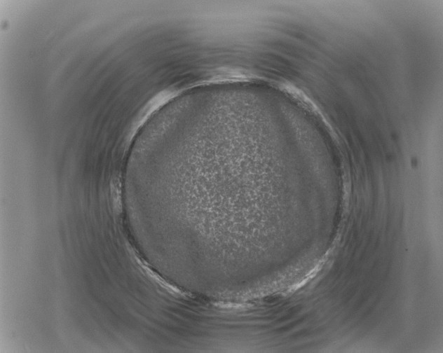 X0000078861409200611271400