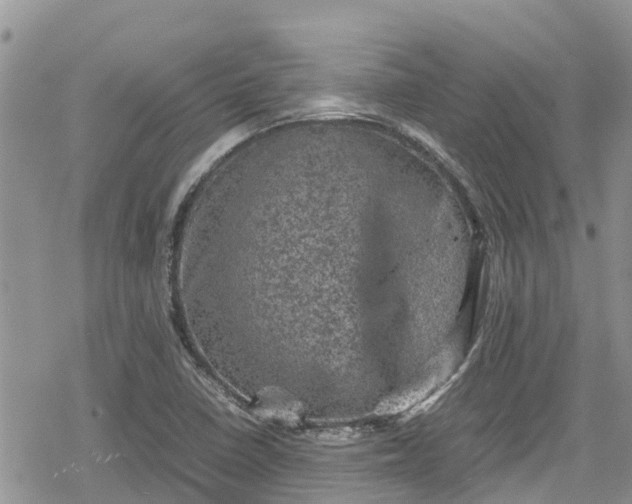 X0000078861410200611271400