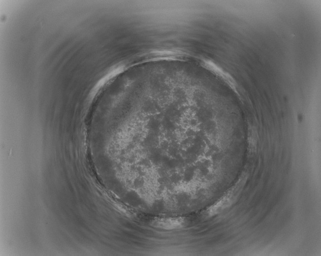 X0000078861411200611271400