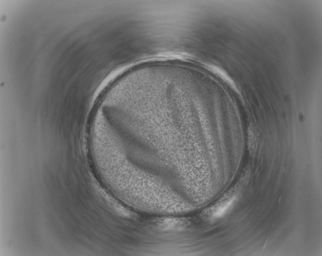 X0000078861412200611271400